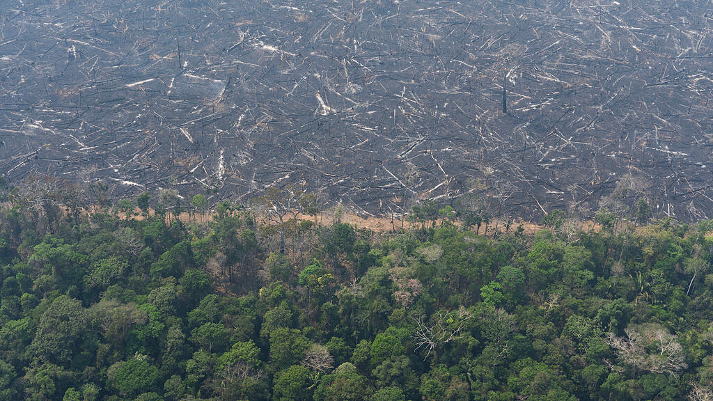 Waldbr\u00e4nde in Brasilien