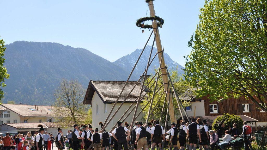 Maibaumaufstellen in Piding und Ainring