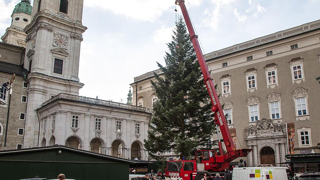 Der diesjährige Christbaum kommt aus Lamprechtshausen.