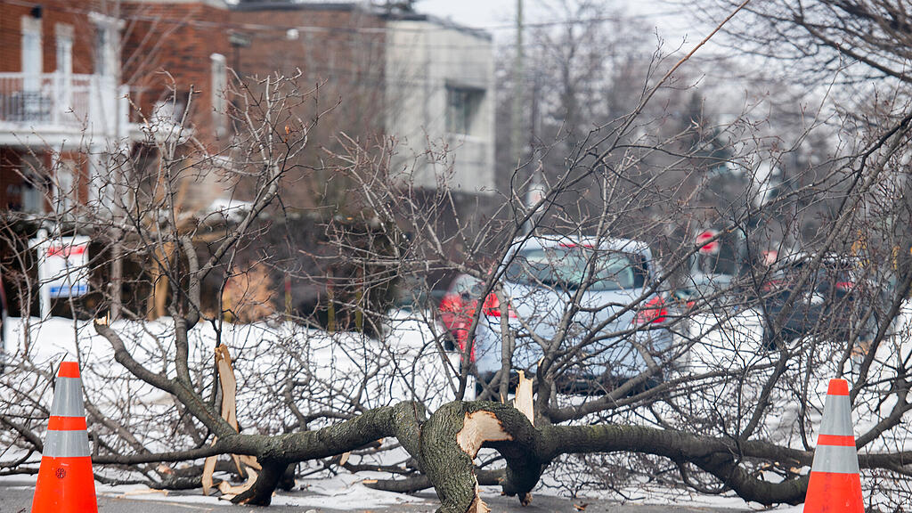 Wintersturm und K\u00e4ltewelle in den USA