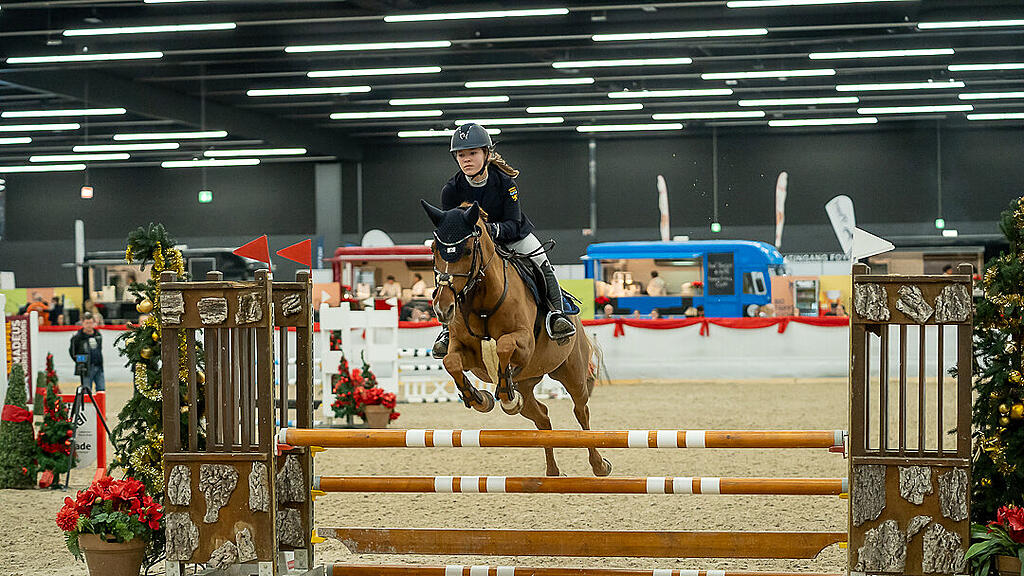 Amadeus Horse Indoors 2023