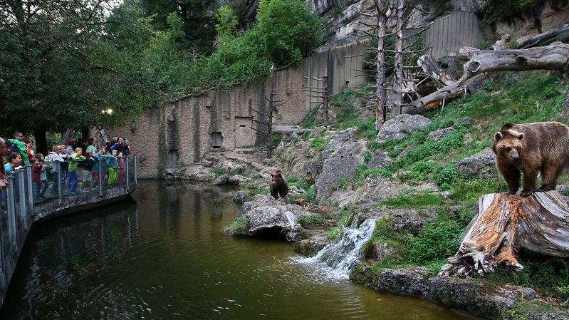 Nachtzoo in Salzburg
