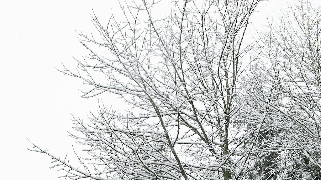 Schnee am Haunsberg