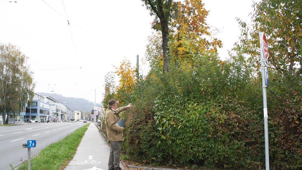 Hier soll gebaut werden