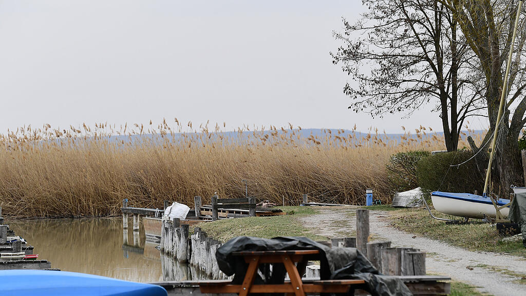 Wasserleiche Neusiedler See