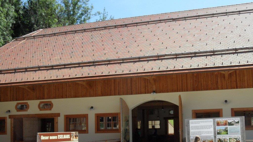 Weitere Tierbilder