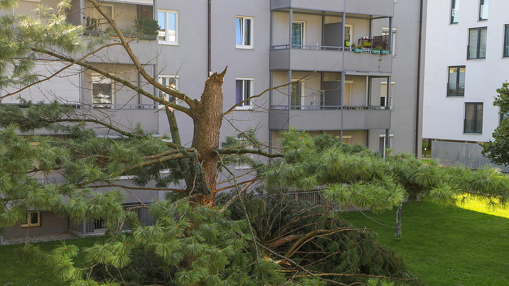 Sturmschäden Salzburg-Lehen