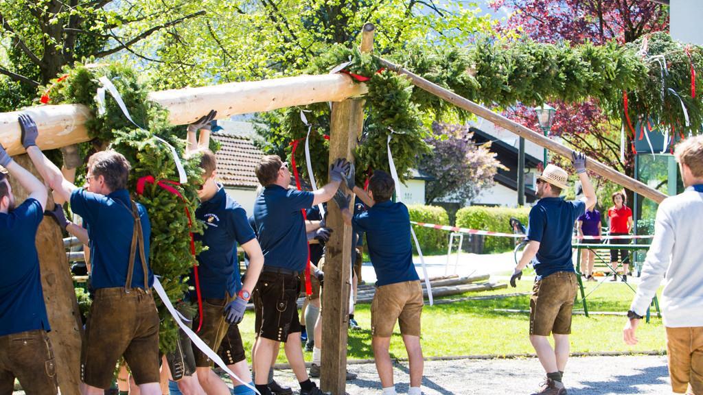 Maibaum in Anif