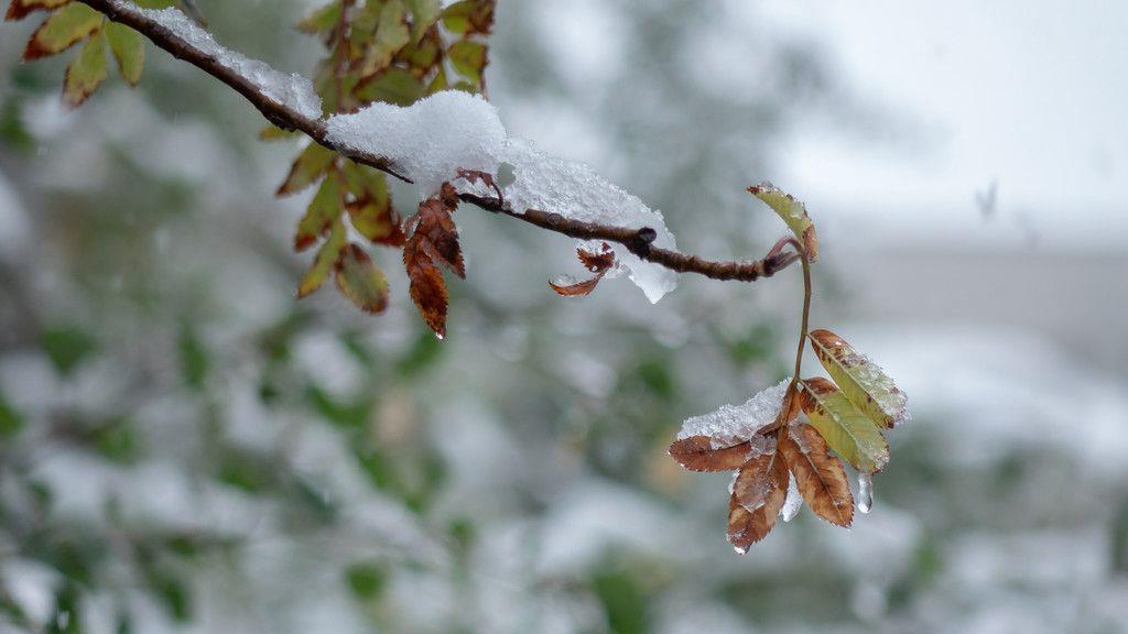 Schnee in Bad Gastein