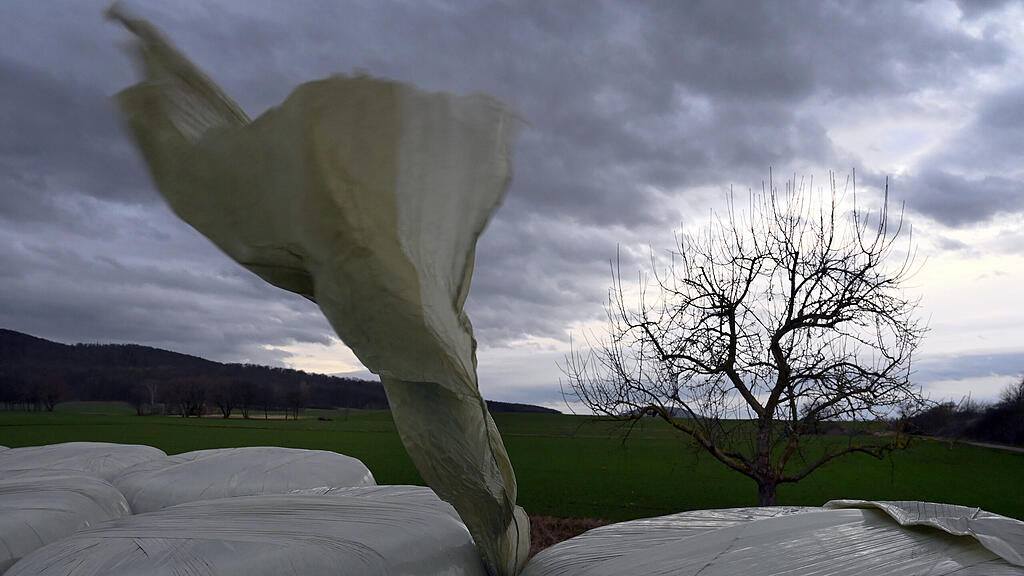 Sturm Sabine, Deutschland
