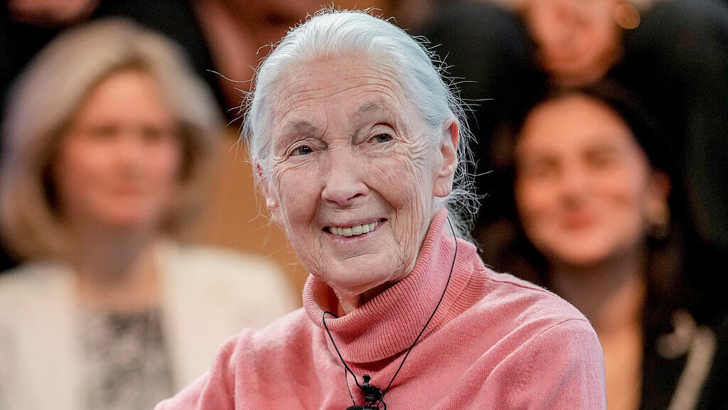 Jane Goodall ist tot