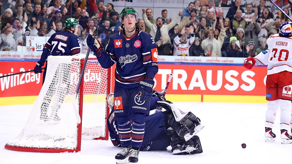 Eisbullen gegen Eisbären Berlin