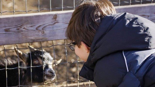 Warten aufs Christkind im Zoo