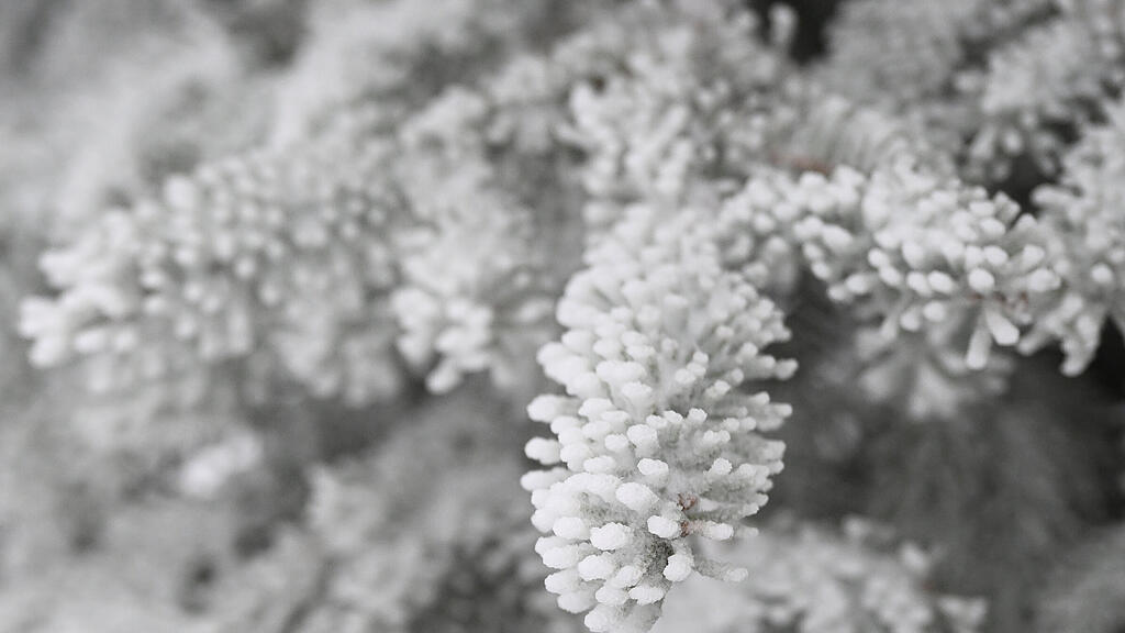 symb_winter_schnee