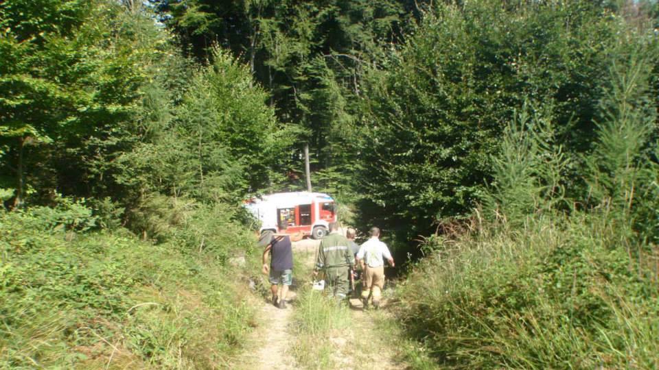 Flächenbrand in Nußdorf