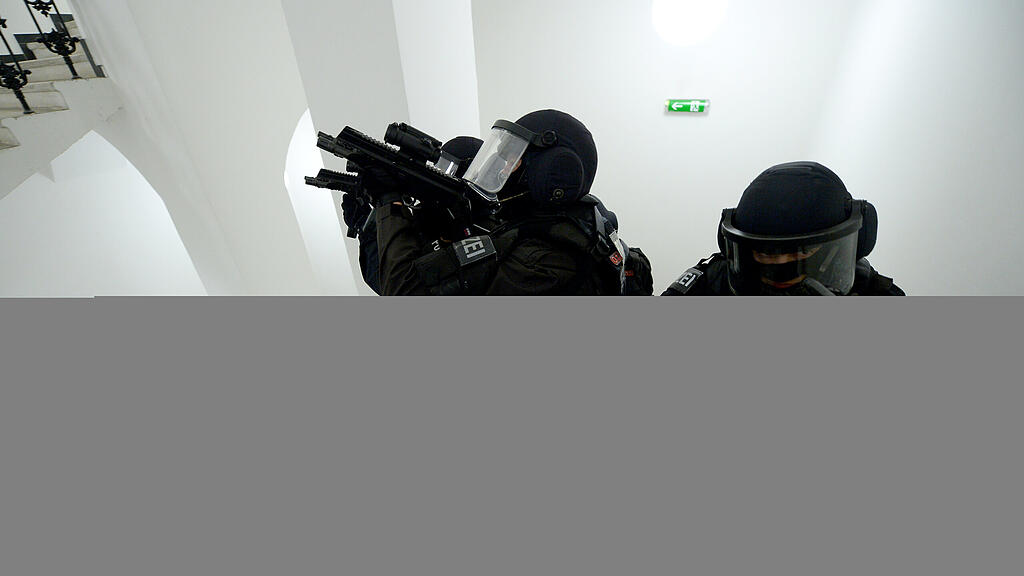 SB, Cobra, Einsatz, Polizei, Cobraeinsatz,