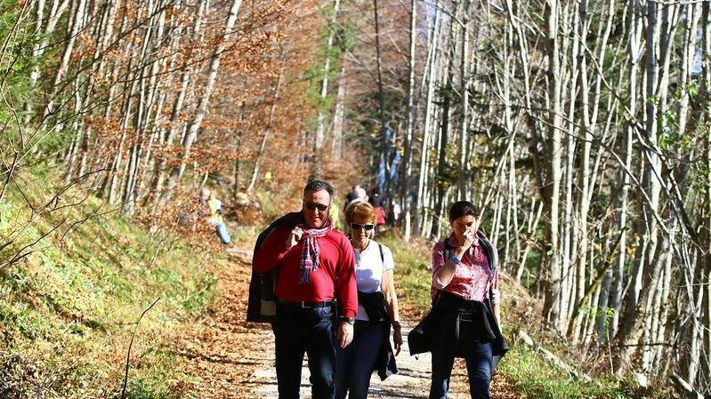 Charity-Walk am Gaisberg