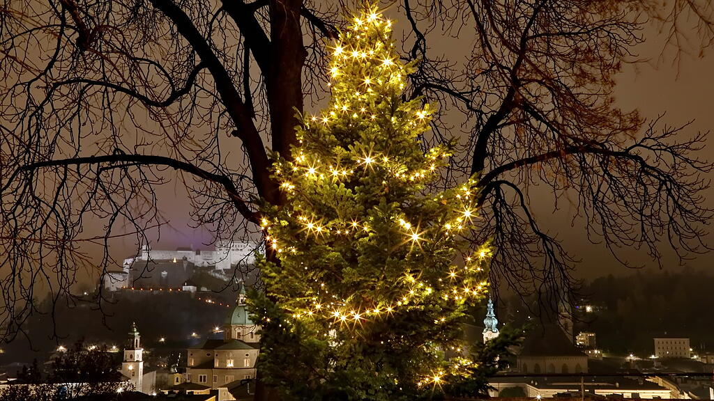 20201128_fmt_weinachtsbaum_KJ002.JPG