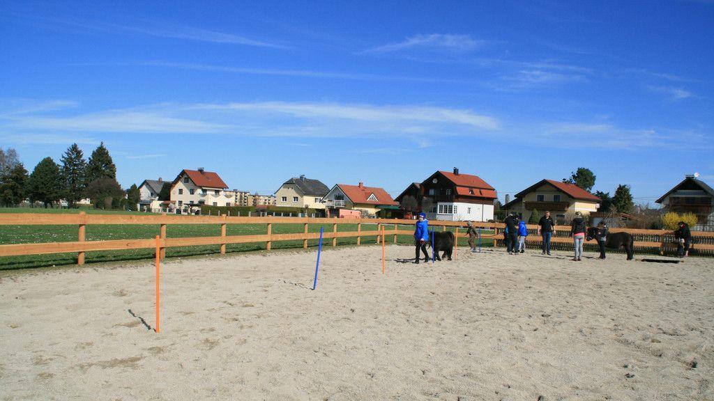 Neubauers Stadtstall: Bauernhof zum Lernen und Anfassen