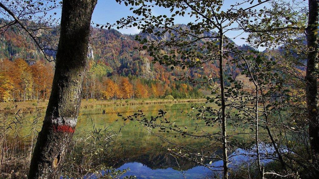 Herbstzeit am Offensee