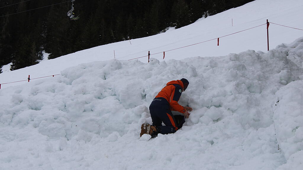 Lawinenhunde Bergrettung Training