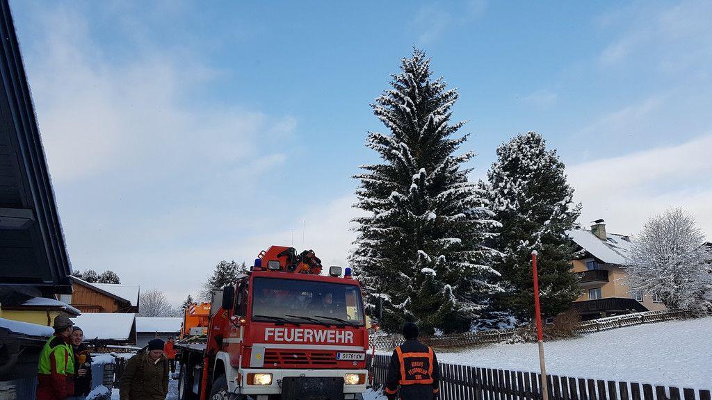 Baumfällen Mariapfarr