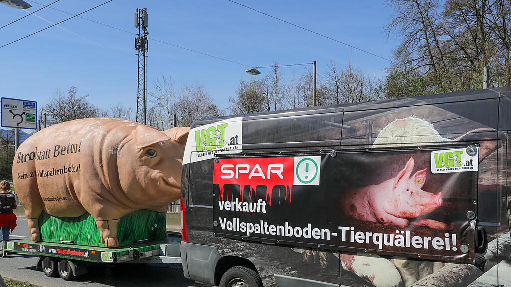 VGT Protest "Grunzi"