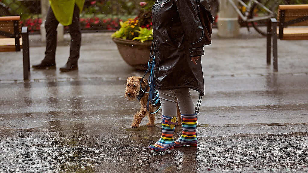 Umbrella March