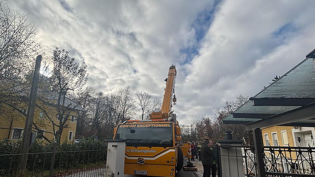 Christbaumernte in St. Jakob am Thurn