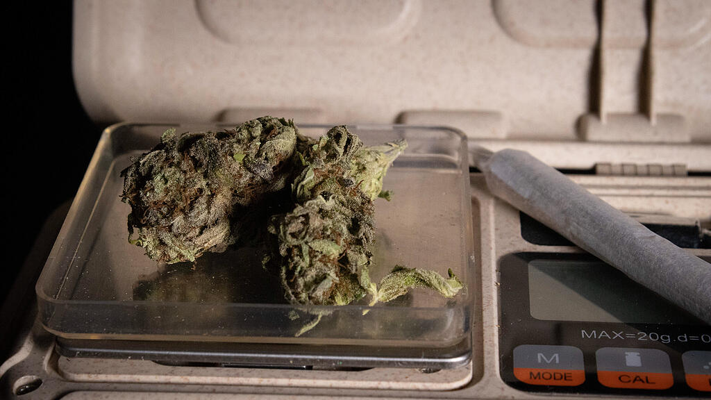 S24-Cannabis7-CHRISTL.jpg