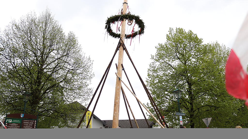 Maibaumaufstellen in Anif