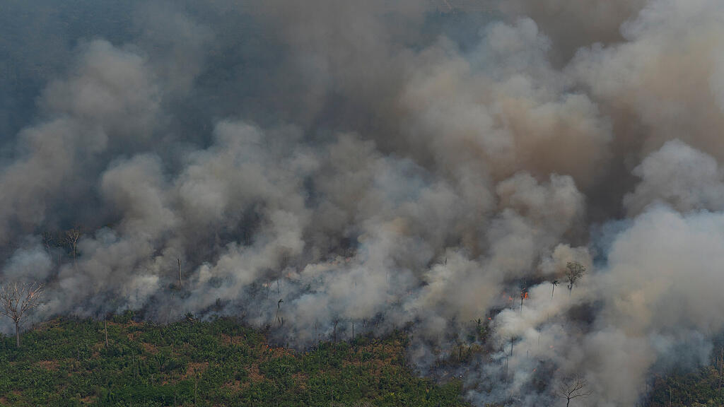 Waldbr\u00e4nde in Brasilien