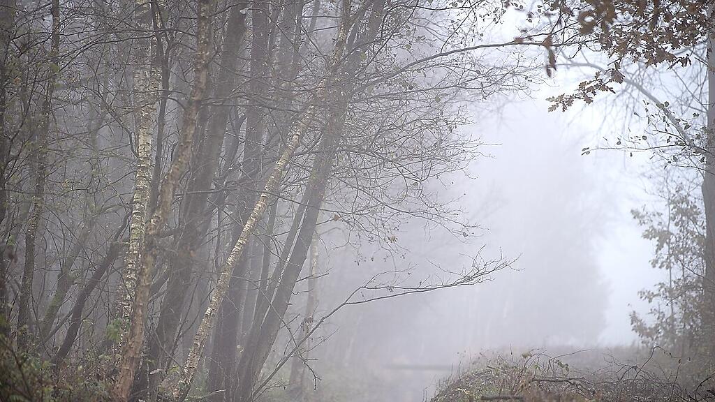 Nebel beherrscht das Wetter der nächsten Tage