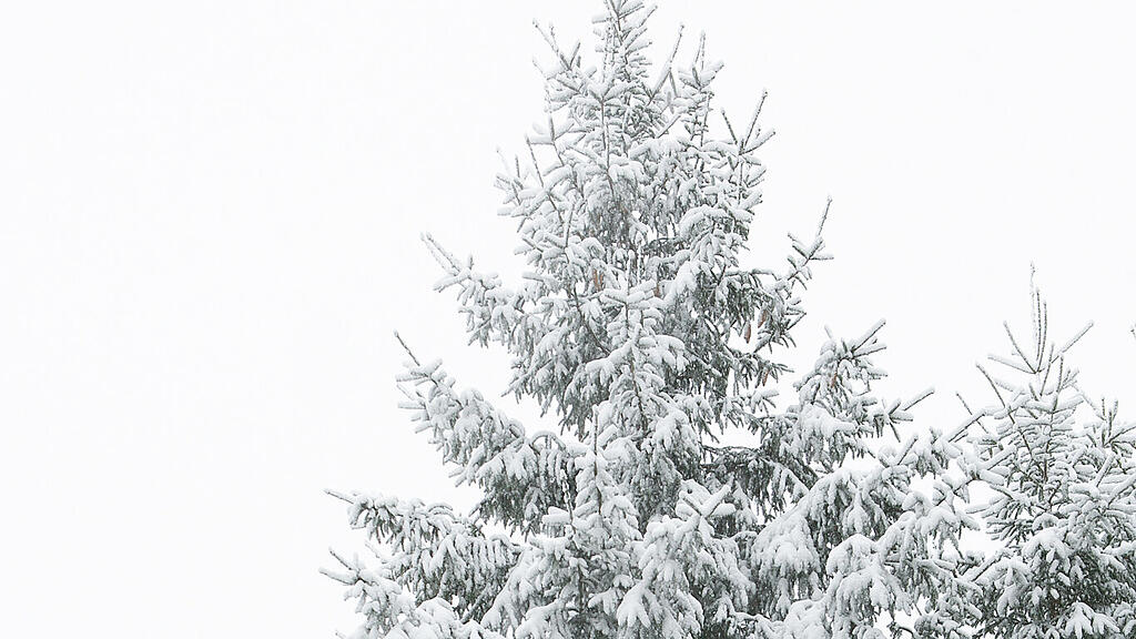 Schnee am Haunsberg