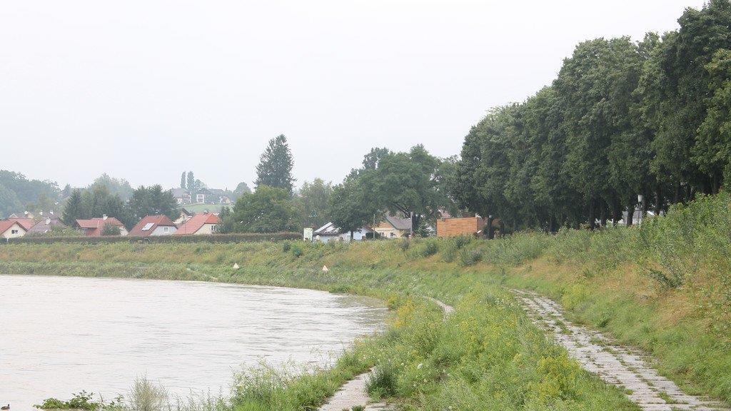 Hochwasser in Oberndorf