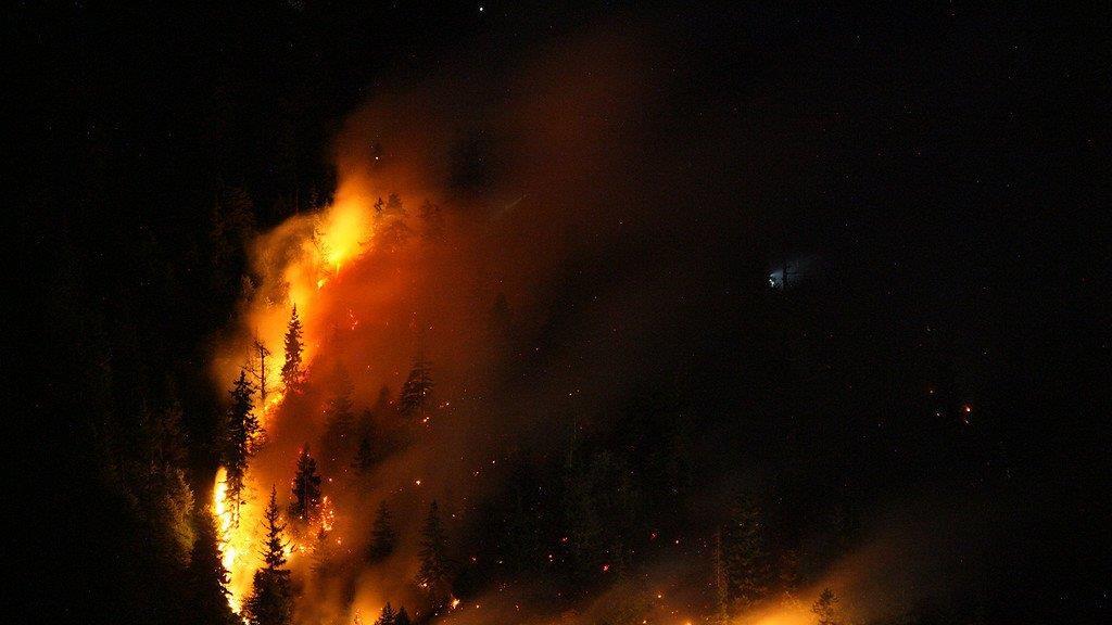 Waldbrand am Thumsee, III