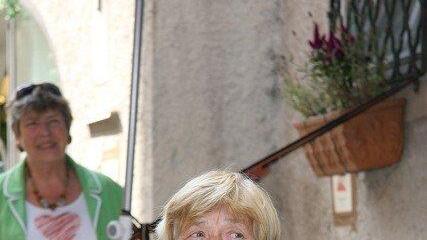 Das Steingassenfest 2013