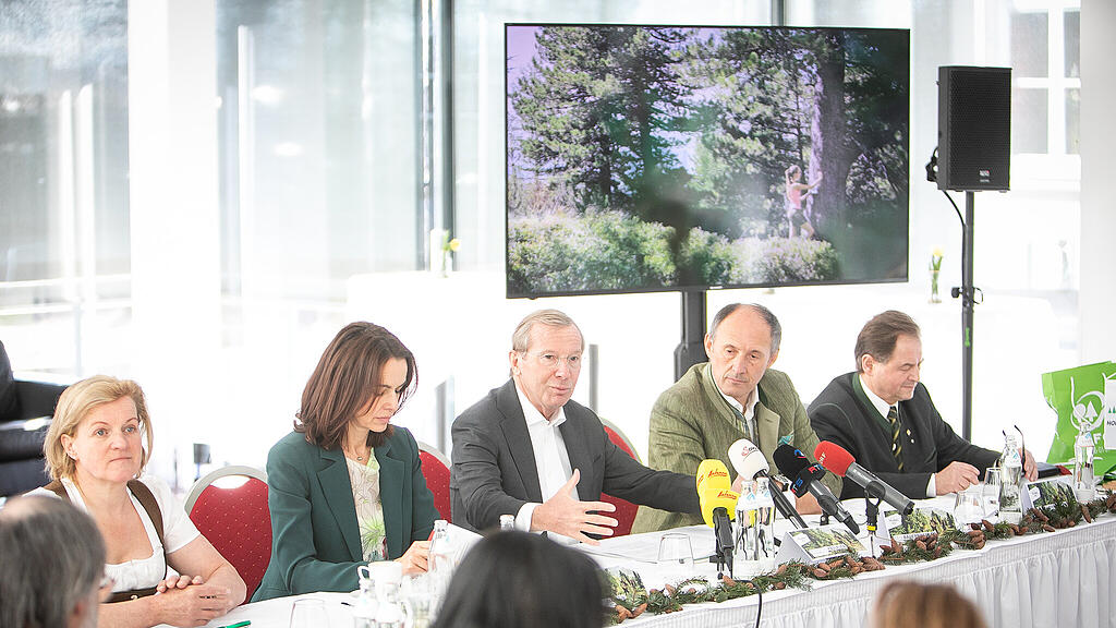 SalzburgerLand Tourismus, Wald