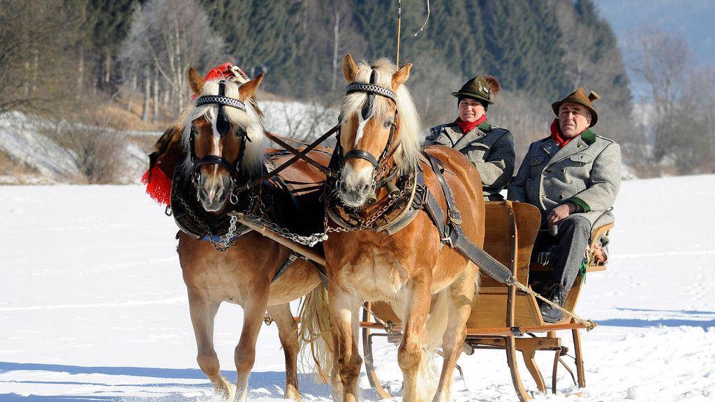 Historische Pferdegespanne im Lungau