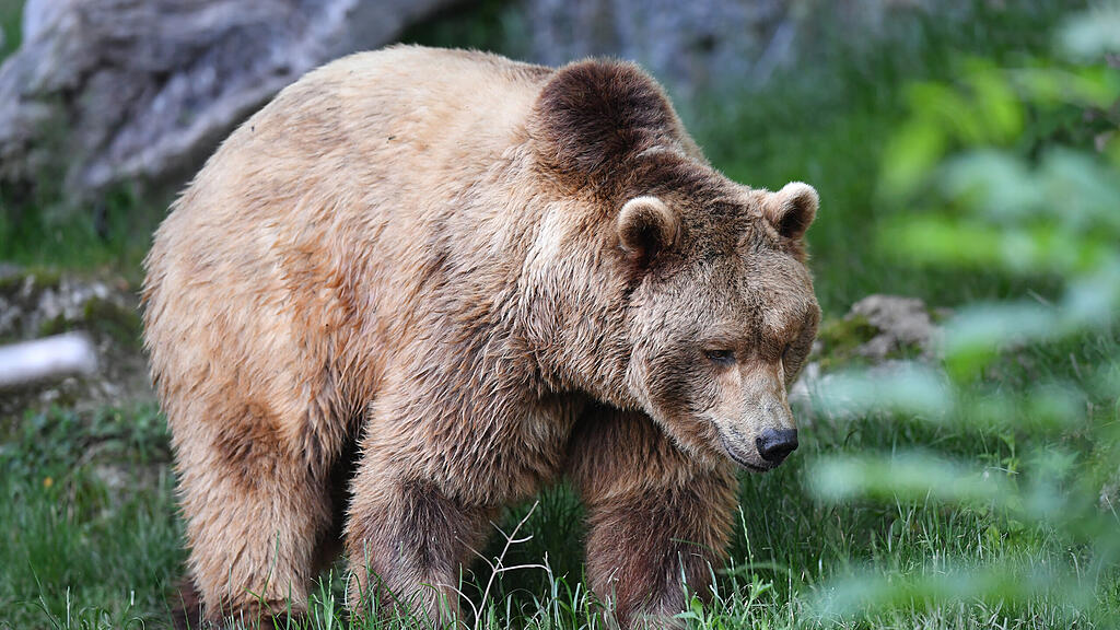 Zoo Salzburg