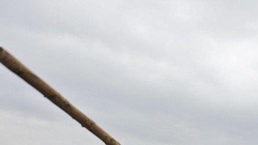 Highlandgames in OÖ