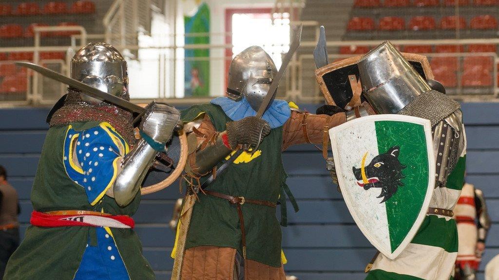 Battle of Nations: Qualifikation in Salzburg