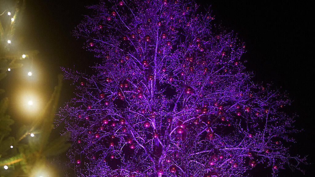 Hellbrunner Adventzauber