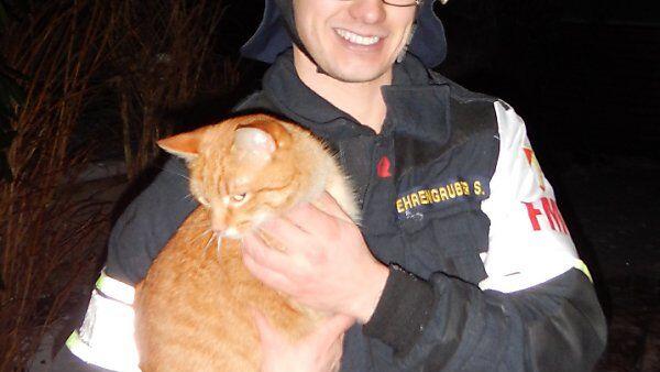 Katze "Jimmy" ist ein Held