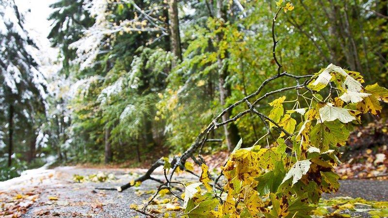 Schnee im Flachgau