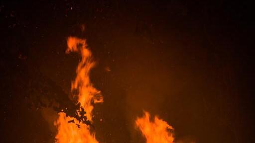 Burning Animal II