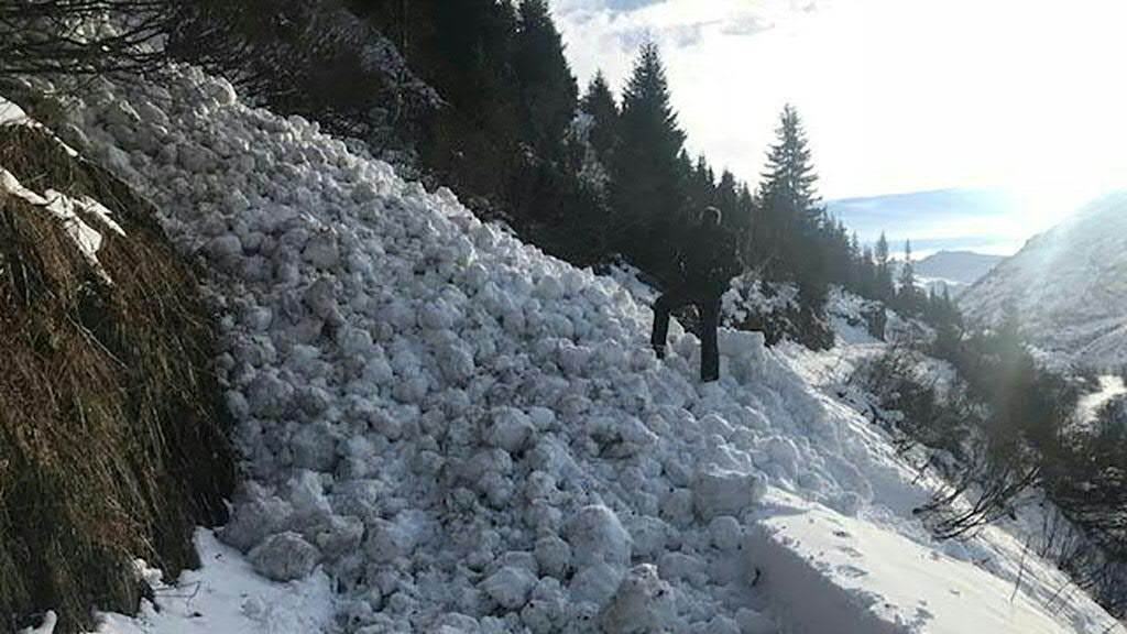 Das Fahrzeug stürzte sich überschlagend rund 30 Meter tief ab.
