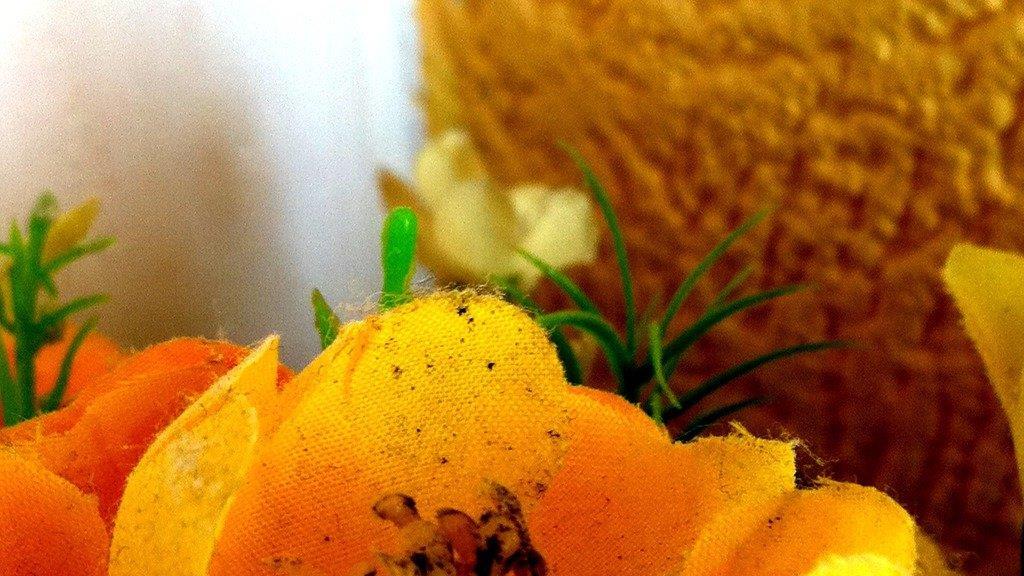 Das nervt Urlauber in Hotels