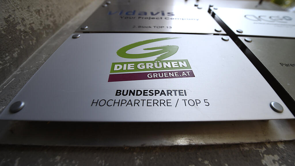 Grüne / Partei / Politik