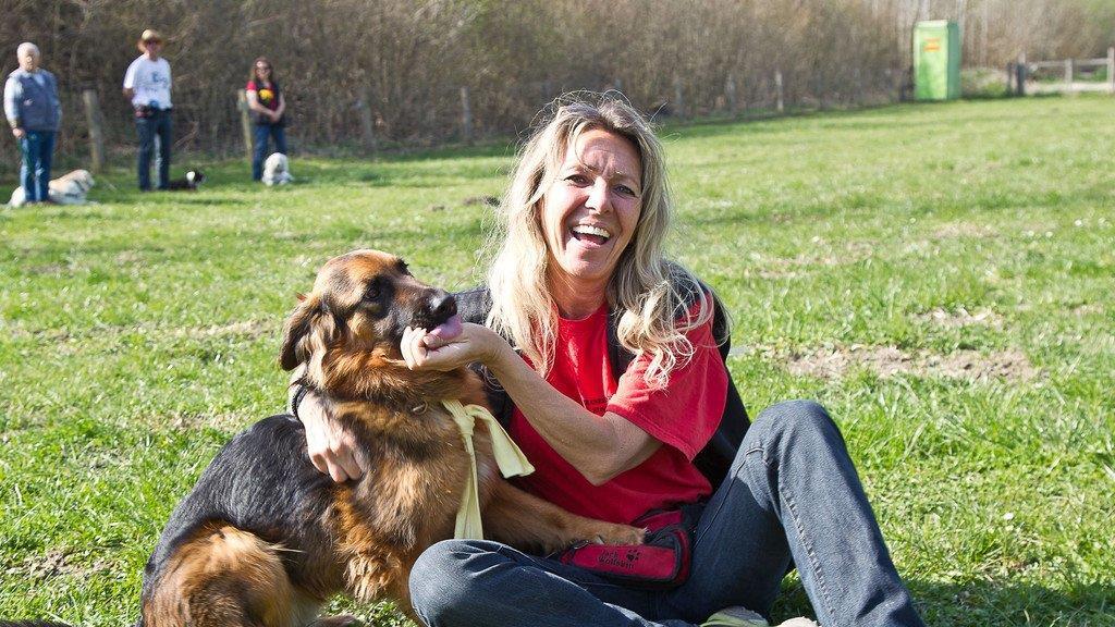 "Der gelbe Hund" in Nußdorf